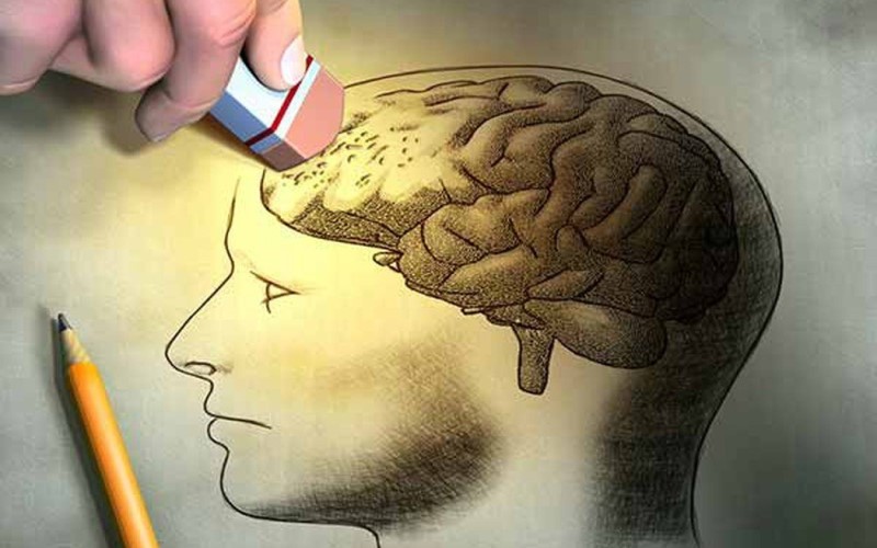 Cá chình cung cấp thiamine và vitamin B1 ngăn ngừa bệnh suy giảm trí nhớ