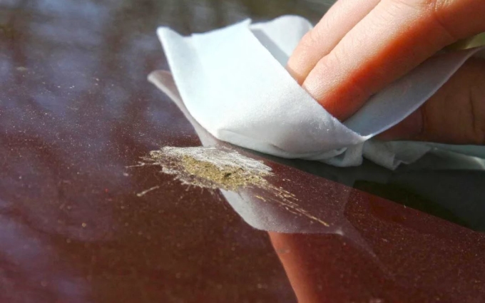 Các vết bẩn như phân chim hoặc nhựa cây cần được làm mềm trước khi lau chùi khỏi bề mặt sơn xe. Ảnh: Auto Express