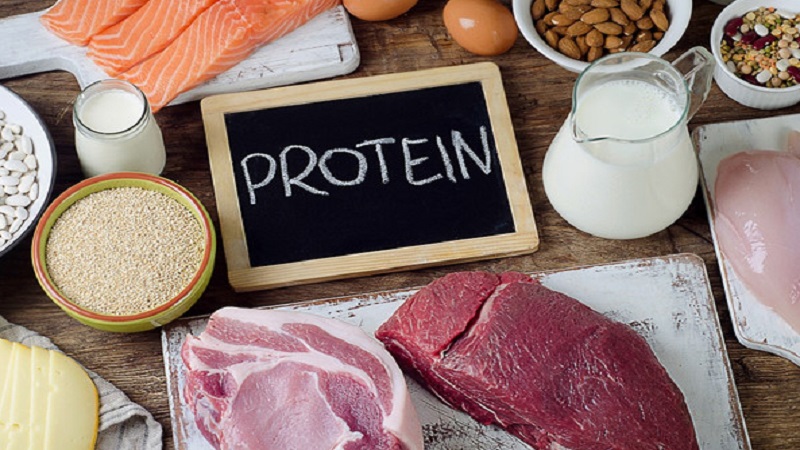 Nên chọn protein phù hợp