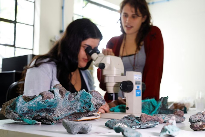 Fernanda Avelar Santos quan sát đá nhựa được tìm thấy trên dảo Trindade dưới kính hiển vi tại phòng thí nghiệm của Đại học Liên bang Parana. Ảnh: Reuters
