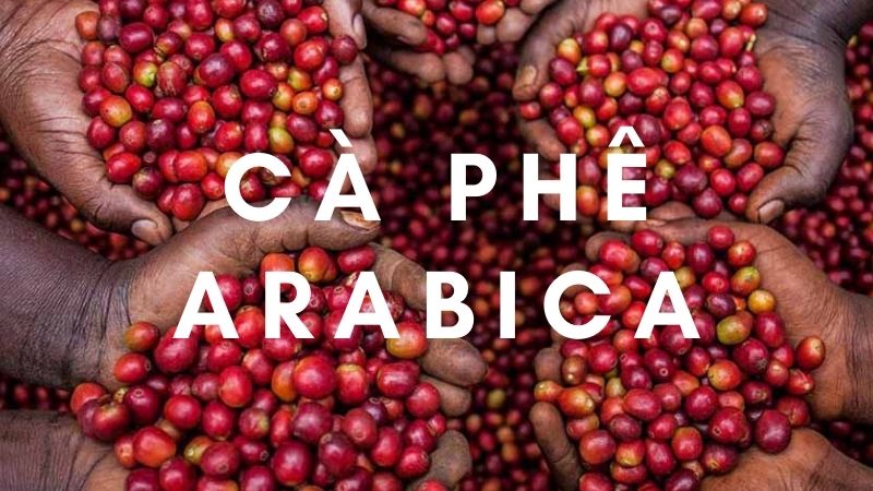 Giá cà phê Arabica giao dịch tại New York