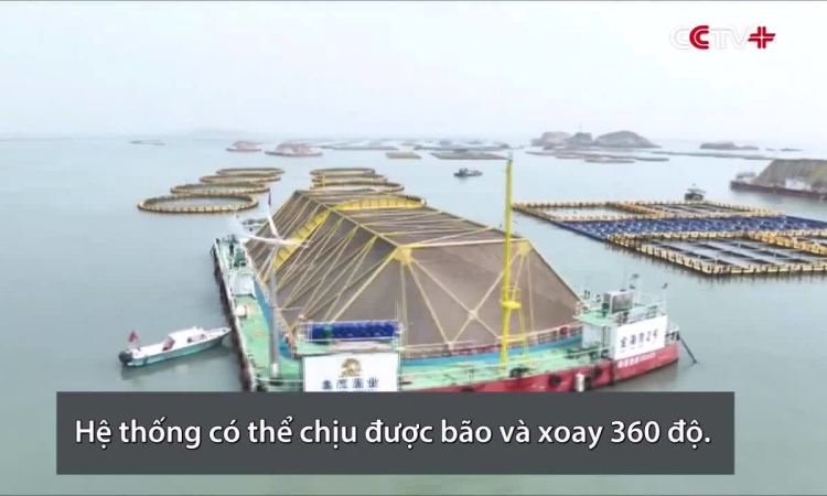 Hệ thống nổi nuôi 40 tấn bào ngư ở Trung Quốc