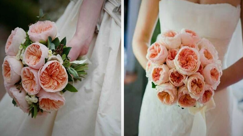 Hoa hồng Juliet thường dùng cho các buổi hôn lễ