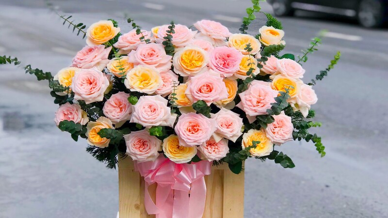 Hoa hồng Juliet kết hợp với hoa Ohara