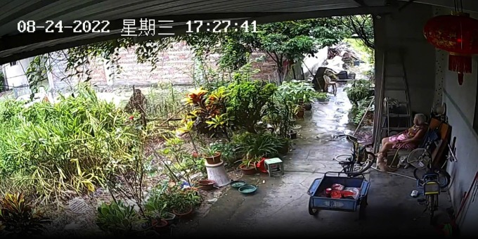 Hình ảnh lấy từ camera mà He Ranran đã lắp đặt để theo dõi cuộc sống hàng ngày của người bà đang ở một mình ở Trùng Khánh. Ảnh nhân vật cung cấp.