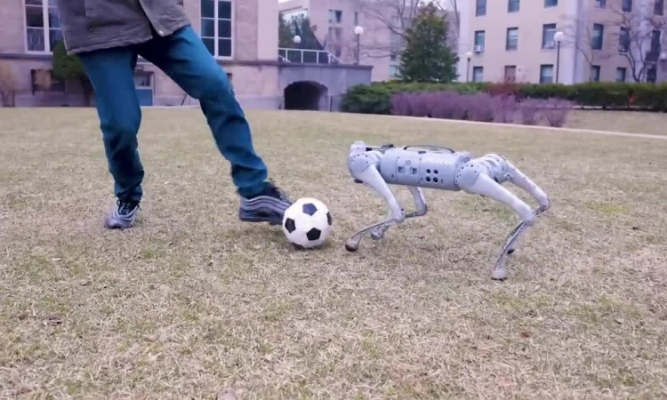 Robot hình chó chơi bóng thành thạo