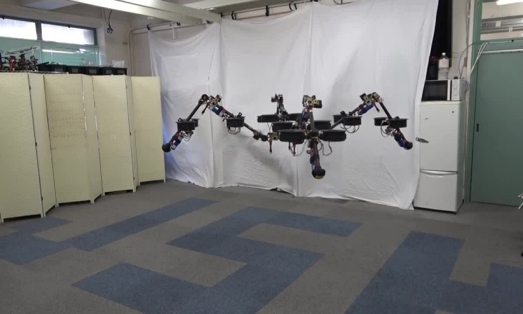 Robot nhện  có khả năng bay bằng 4 chân