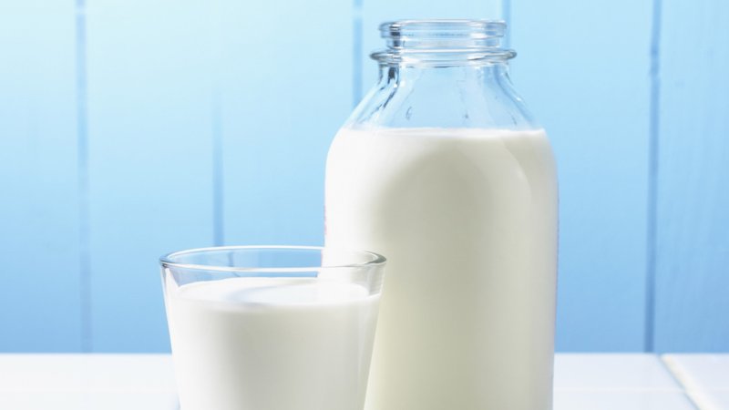 Uống sữa tươi không đường có béo (mập) không?