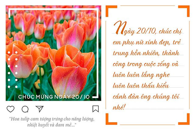 Hoa tulip cam tượng trưng cho năng lượng, nhiệt huyết và đam mê