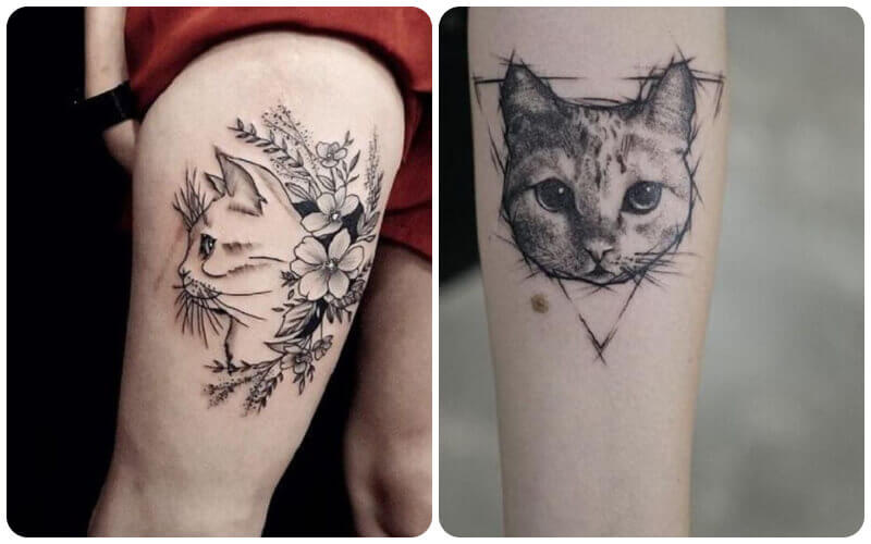 Ý nghĩa của hình xăm mèo và những hình ảnh tattoo đẹp nhất  Hình Xăm Đẹp
