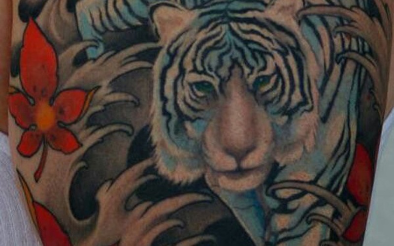 Hình xăm con hổ màu sắc