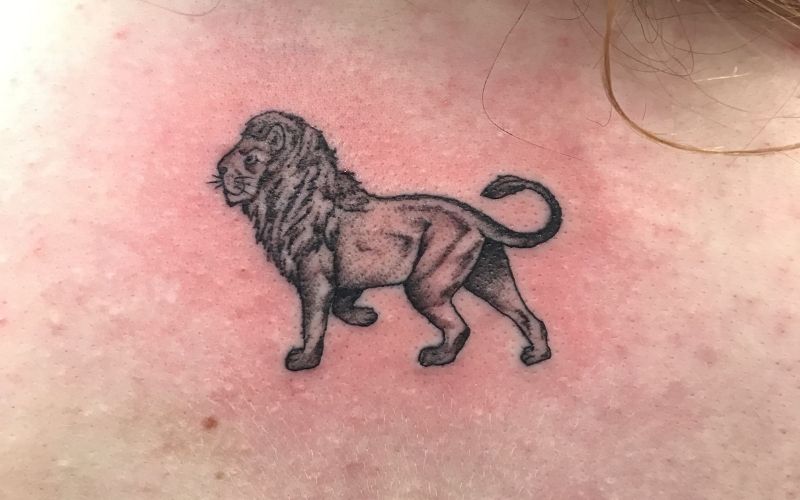 Hình xăm sư tử sau lưng thể hiện vẻ đẹp mạnh mẽ và quyền lực của một cô gái trẻ