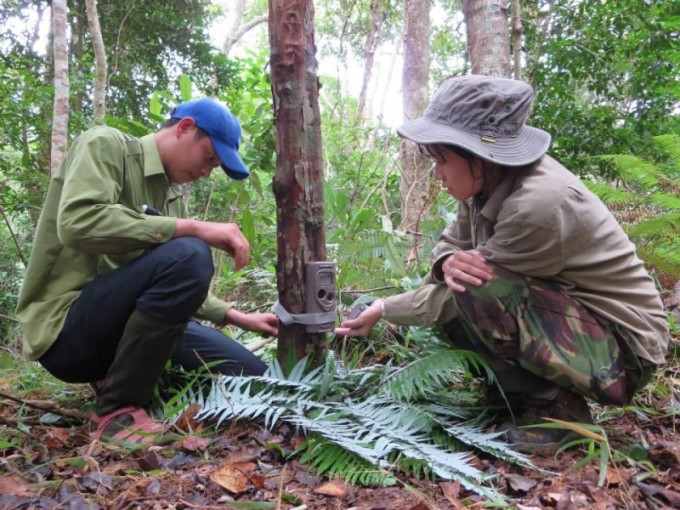 Trang Nguyễn và hoạt động bảo vệ động vật hoang dã tại Việt Nam