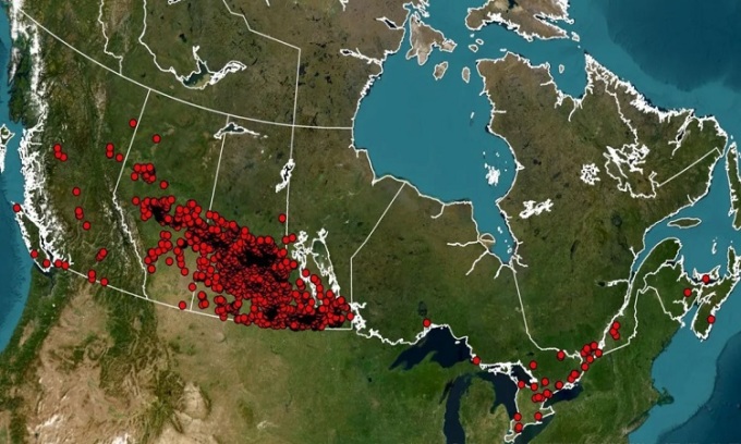 Bản đồ những địa điểm siêu lợn xuất hiện ở Canada. Ảnh: CWPRG