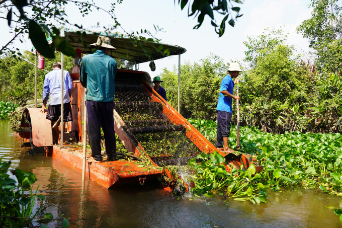 Người dân sử dụng máy vớt lục bình trên sông thuộc huyện Thủ Thừa, Long An. Ảnh: Hoàng Nam