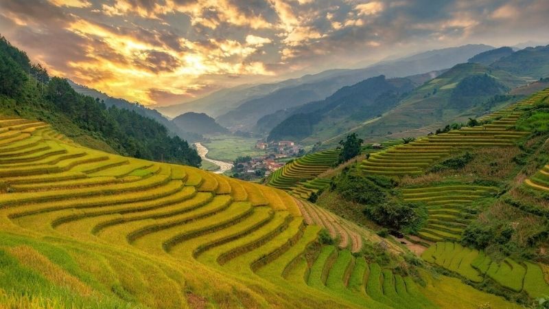 Ngắm nhìn cánh đồng lúa ruộng bậc thang từ đèo Khau Phạ