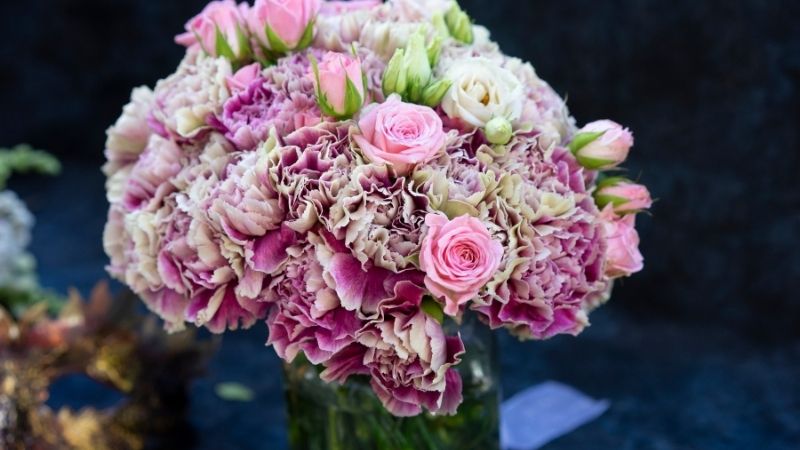 Hoa cẩm chướng để trang trí đám cưới