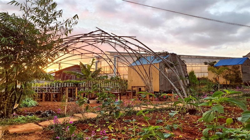 Vườn nhà Eco (Dream Farmstay) - Đà Lạt