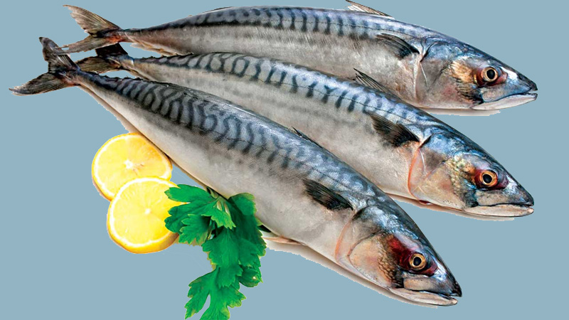 Ăn cá saba có lợi ích gì? Tổng hợp các món ăn cực ngon và bổ dưỡng từ cá saba