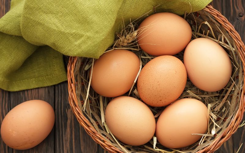 denledbamien.com: Đại siêu thị bán trứng gà giá tốt nhất