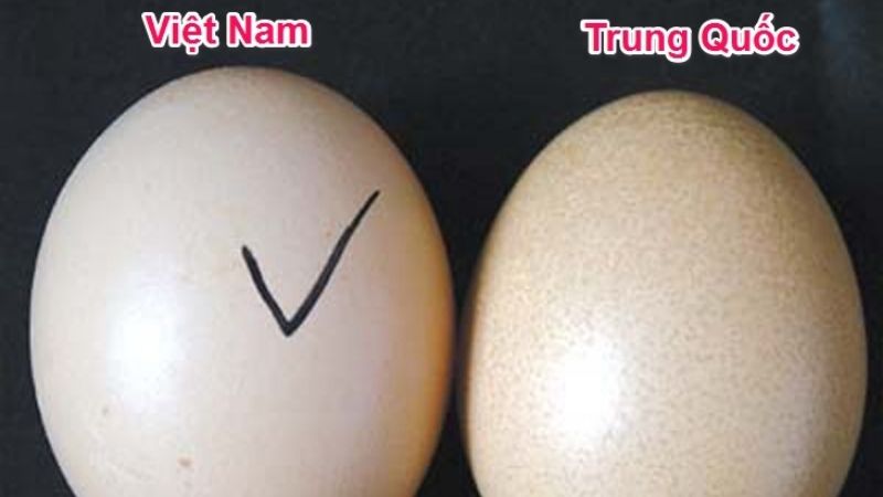 Cách phân biệt trứng gà thật và giả
