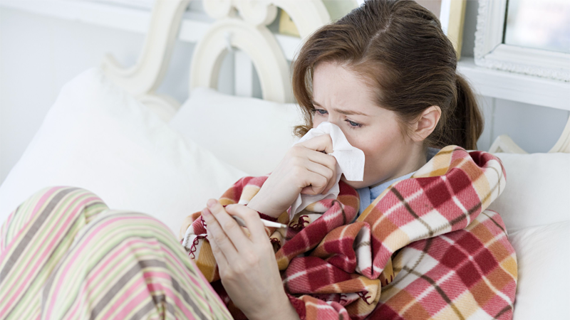 Trong rau kinh giới có chứa hợp chất thymol và carvacrol có khả năng tiêu diệt vi khuẩn cúm.