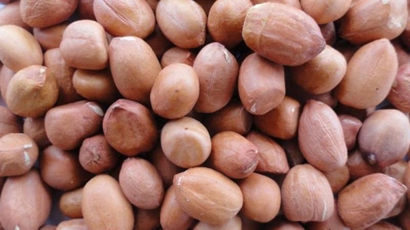 Lượng calo trong 100g hạt đậu phộng