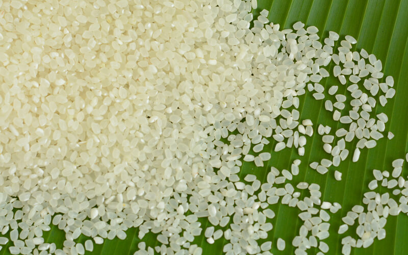 Gạo Nhật thì hạt gạo sẽ ngắn, hạt tròn và đầy