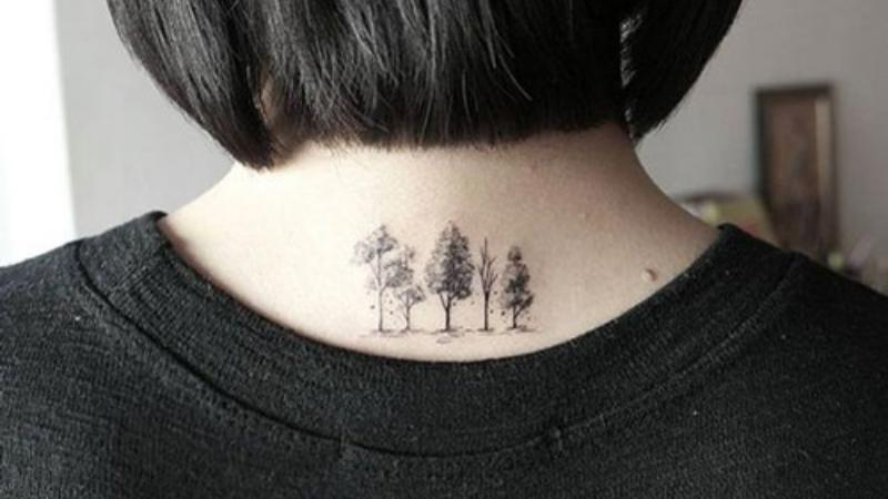 Hình rừng cây ngay sau lưng
