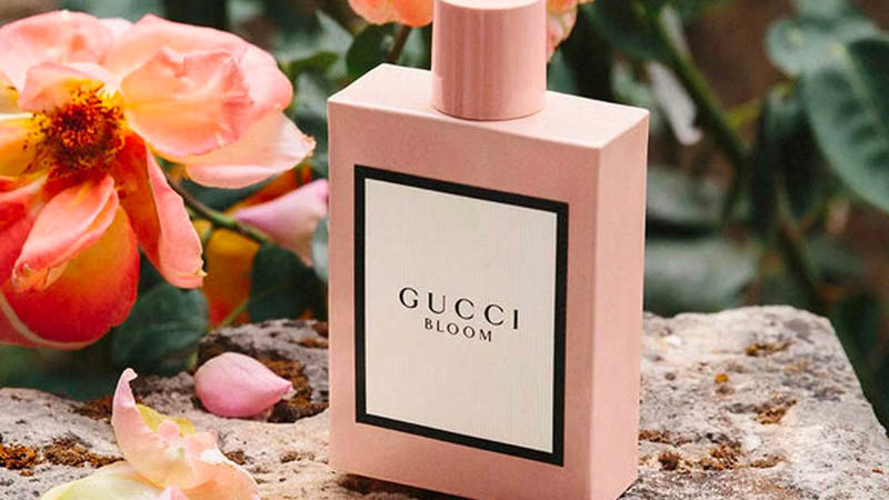 Nước hoa hoa nhài Gucci Bloom