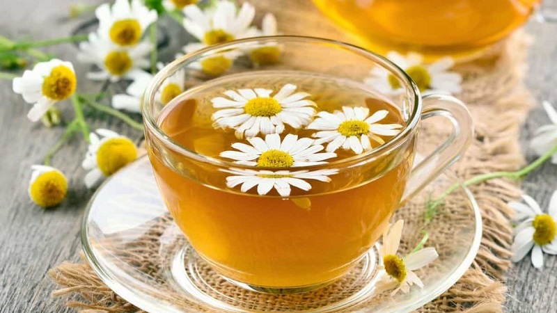 Trà hoa cúc giúp cải thiện các triệu chứng về đường tiêu hóa