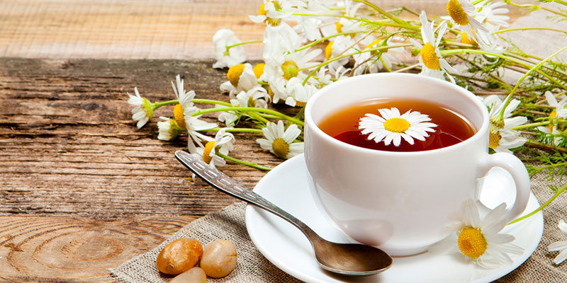 Những lưu ý khi dùng trà hoa cúc