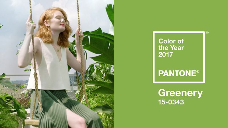 Màu sắc chủ đạo của Pantone 2017 - Xanh lá cây (Greenery 15-0343)