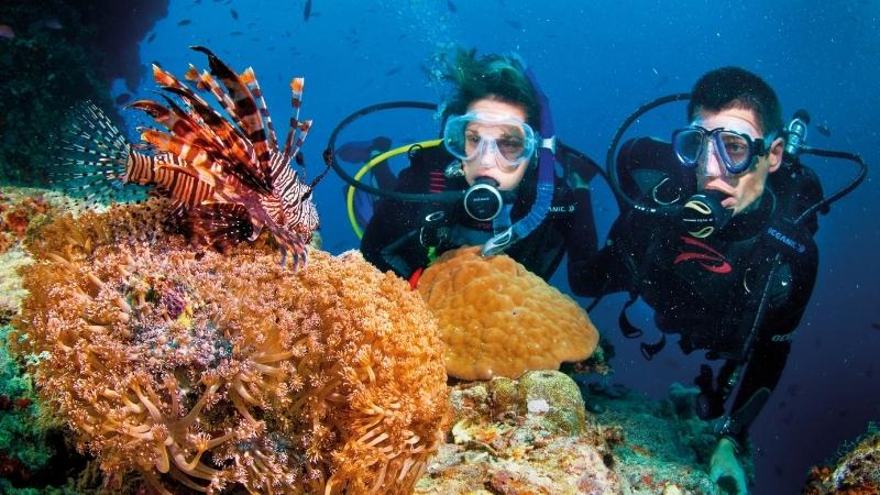 Vinpearl Diving Club – Đảo Hòn Tre