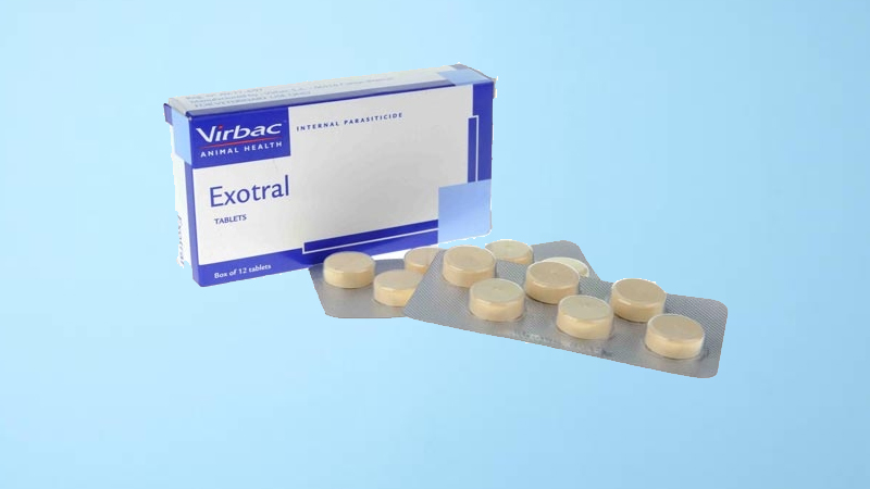Có cần lặp lại quá trình sử dụng thuốc tẩy giun Virbac Exotral thường xuyên không?

