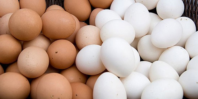Trứng chứa nhiều chất dinh dưỡng như Bataine và Choline thúc đẩy sự khỏe mạnh của tim mạch.