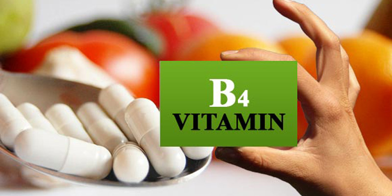 Vitamin B4 và những điều chưa biết-4
