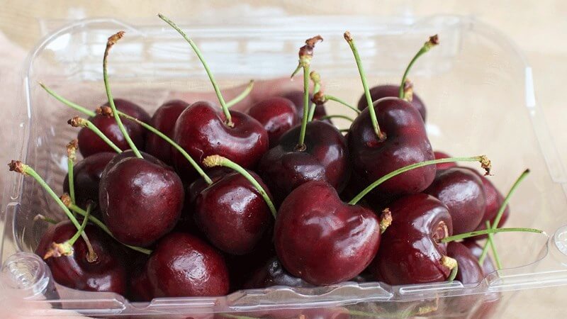 Cherry còn có thể dùng để ăn kiêng bởi nó chứa vitamin cao