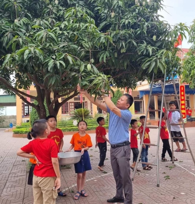 Thầy Hà Huy Trung, hiệu trưởng Tiểu học Diễn Phúc lúc hái xoài cho các em. Ảnh: Tiểu học Diễn Phúc